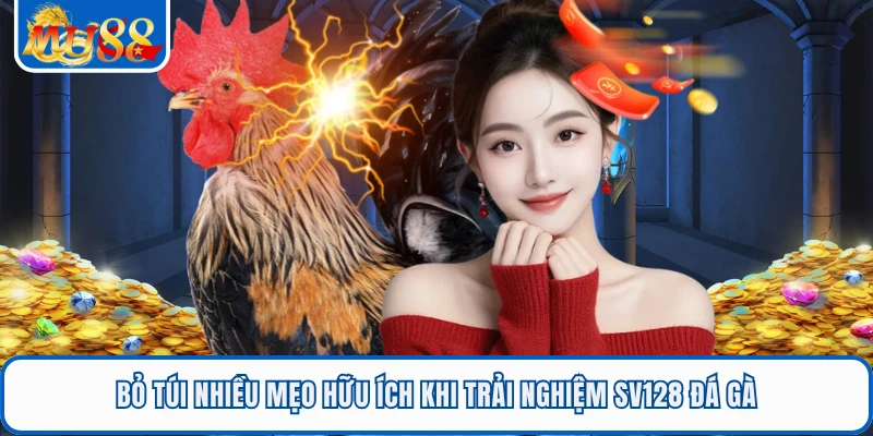 Bỏ túi nhiều mẹo hữu ích khi trải nghiệm SV128 đá gà