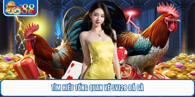 Tìm hiểu tổng quan về SV128 đá gà